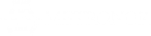Metronor White Logo